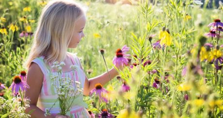 little-girl-2516578